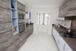 apperley the thirston 3 sm.jpg
